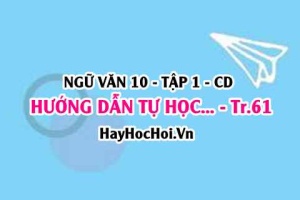 Soạn bài Hướng dẫn tự học trang 61 lớp 10 Cánh Diều tập 1